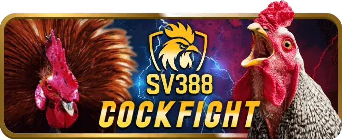 Cá cược thể thao big777